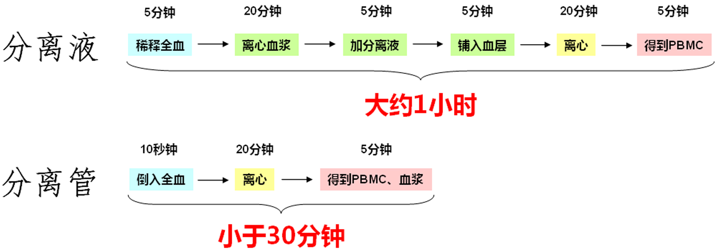 分離管2.jpg 分離管2.jpg